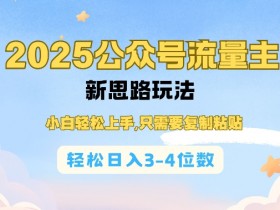 2025公双号流量主新思路玩法，小白轻松上手，只需要复制粘贴，轻松日入3-4位数