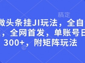 最新微头条自动运行玩法，全自动撸收益，全网首发，单账号日入300+，附矩阵玩法【揭秘】