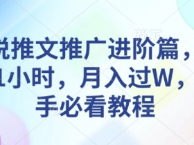 小说推文推广进阶篇，每天1小时，月入过W，新手必看教程