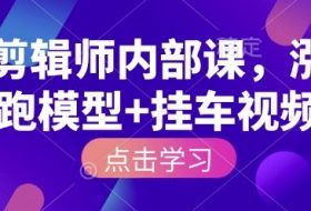 IP剪辑师内部课，涨粉跑模型+挂车视频（更新）