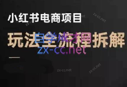 菲菲老师·小红书电商玩法