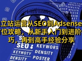独立站运营从SEO到Adsense全方位攻略，从新手入门到进阶技巧，再到高手经验分享