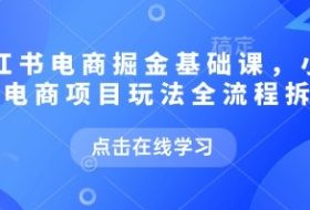 小红书电商掘金课，小红书电商项目玩法全流程拆解（更新9月）