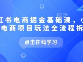 小红书电商掘金课，小红书电商项目玩法全流程拆解