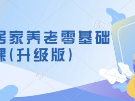 社区居家养老零基础入门课(升级版)了解新手做养老的可行模式，掌握养老项目的筹备方法