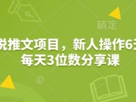 小说推文项目，新人操作6天，每天3位数分享课