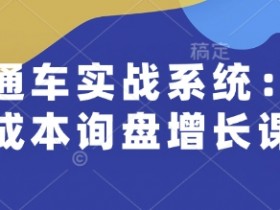 直通车实战系统：低成本询盘增长课，让个人通过技能实现升职加薪，让企业低成本获客，订单源源不断
