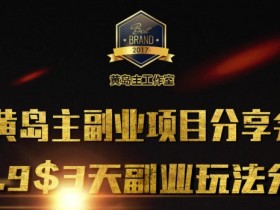 黄岛主副业分享会1期：3天3个副业玩法，速度上车