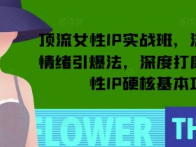 顶流女性IP实战班，流量上亿情绪引爆法，深度打磨顶流女性IP硬核基本功