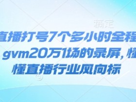 抖音直播打号7个多小时全程录屏24年，gvm20万1场的录屏，懂的都懂直播行业风向标