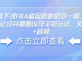 亚马逊线下课FBA精品陪跑最新一期，亚马逊严抓评论合并措施以及全新玩法，文档资料+音频
