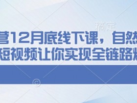 千川运营12月底线下课，自然流+付费+短视频让你实现全链路爆单