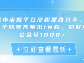 网易小蜜蜂平台涨粉思路分享，1晚上3个账号各跑出1W粉，同时引流公众号1000+