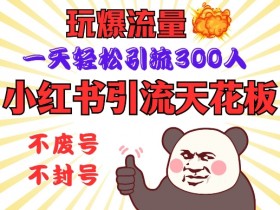 小红书引流天花板，玩爆流量，一天轻松引流300人，安全操作