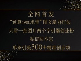 小红书神奇图片引流法，只需一张图，就能单条笔记凭借此方法，轻松引流 300 + 精准创业粉