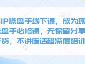 全案IP操盘手线下课，成为现象级ip操盘手必修课，无保留分享，全是干货，不讲废话超深度培训实操