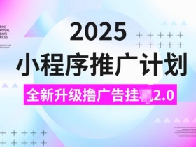 2025小程序推广计划，撸广告自动运行3.0玩法，日均5张【揭秘】
