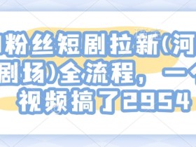 0粉丝短剧拉新(河马剧场)全流程，一个视频搞了2954