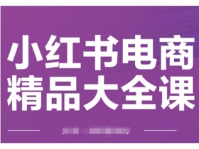小红书电商精品大全课，快速掌握小红书运营技巧，实现精准引流与爆单目标，轻松玩转小红书电商
