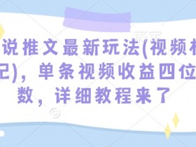 小说推文最新玩法(视频标记)，单条视频收益四位数，详细教程来了