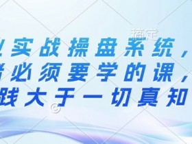创业实战操盘系统，创业者必须要学的课，实践大于一切真知