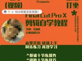 轻松玩转剪辑系统课，​从零开始快速上手，同步练习高效学习，思维提升从简到难