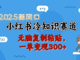 2025新风口，小红书冷知识赛道，无脑复制粘贴，一单变现300+