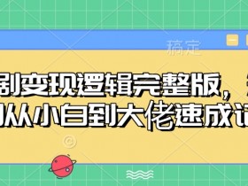 短剧变现逻辑完整版，短剧从小白到大佬速成记