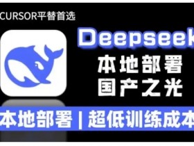 2025年deepseek R1 大型模型本地安装部署(文件+教程)本地部署，超低训练成本
