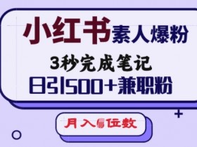 小红书素人爆粉，3秒完成笔记，日引500+兼职粉，月入5位数