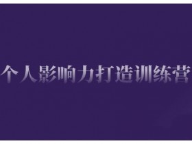 个人影响力打造训练营，掌握公域引流、私域运营、产品定位等核心技能，实现从0到1的个人IP蜕变