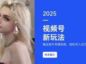 搬运老外奇葩视频，撸视频号分成计划收益，每天只需一小时，新手小白轻松月入过W