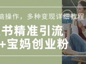 小红书混剪日引200+宝妈创业粉，简单无脑操作，多种变现详细教程
