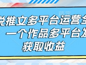 小说推文多平台运营全流程，一个作品多平台发布获取收益