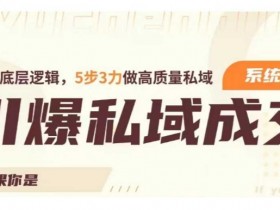 引爆私域成交力系统课，打通底层逻辑，5步3力做高质量私域