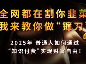 全网都在割你韭菜，我来教你做镰刀，2025年普通人如何通过 知识付费 实现财F自由【揭秘】