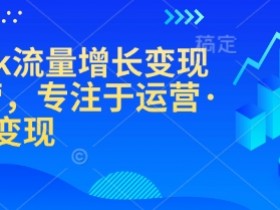 TikTok流量增长变现训练营，专注于运营·涨粉·变现
