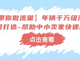 【冷锋带你做流量】年销千万级淘系商家如何打造–帮助中小卖家快速成长