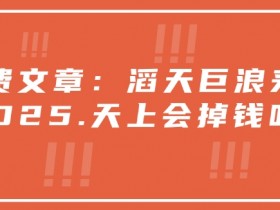 付费文章：滔天巨浪来袭！2025天上会掉钱吗？