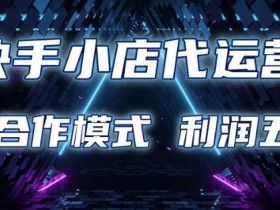 快手小店代运营 限时托管计划 合作模式 利润五五分成【揭秘】