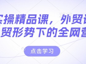 外贸实操精品课，外贸谈判，新外贸形势下的全网营销