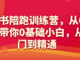 小红书陪跑训练营，从6大维度带你0基础小白，从入门到精通