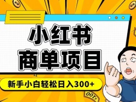 小红书千粉商单，稳定快速变现项目，实现月入6-8k并不是很难