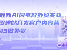 2025最新AI闪电做外贸实战课，外贸建站开发客户内容营销从0到3做外贸