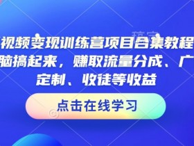 AI短视频变现训练营项目合集教程，直接无脑搞起来，赚取流量分成、广告、定制、收徒等收益