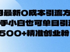 2月最新0成本引流方法，新手小白也可单日引流500+精准创业粉