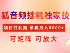 全网首发搜狐音频自动运行独家技术，项目红利期，可矩阵可放大，稳定月入8k【揭秘】