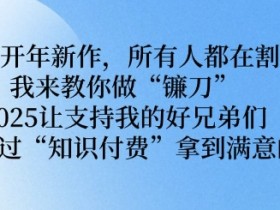 2025年开年新作，所有人都在割韭菜，我来教你做“镰刀” 2025让支持我的好兄弟们都可以通过“知识付费”拿到满意的成绩【揭秘】