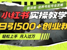 2月小红书最新日引500+创业粉实操教学【超详细】小白轻松上手，月入1W+，附小红书养号起号SOP