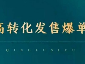 高转化发售爆单，引爆私域成交，打破运营全链